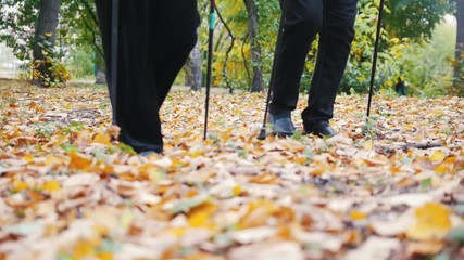 Wall Mural - Two elderly women are doing Scandinavian walking in the park. Feet. Fall season