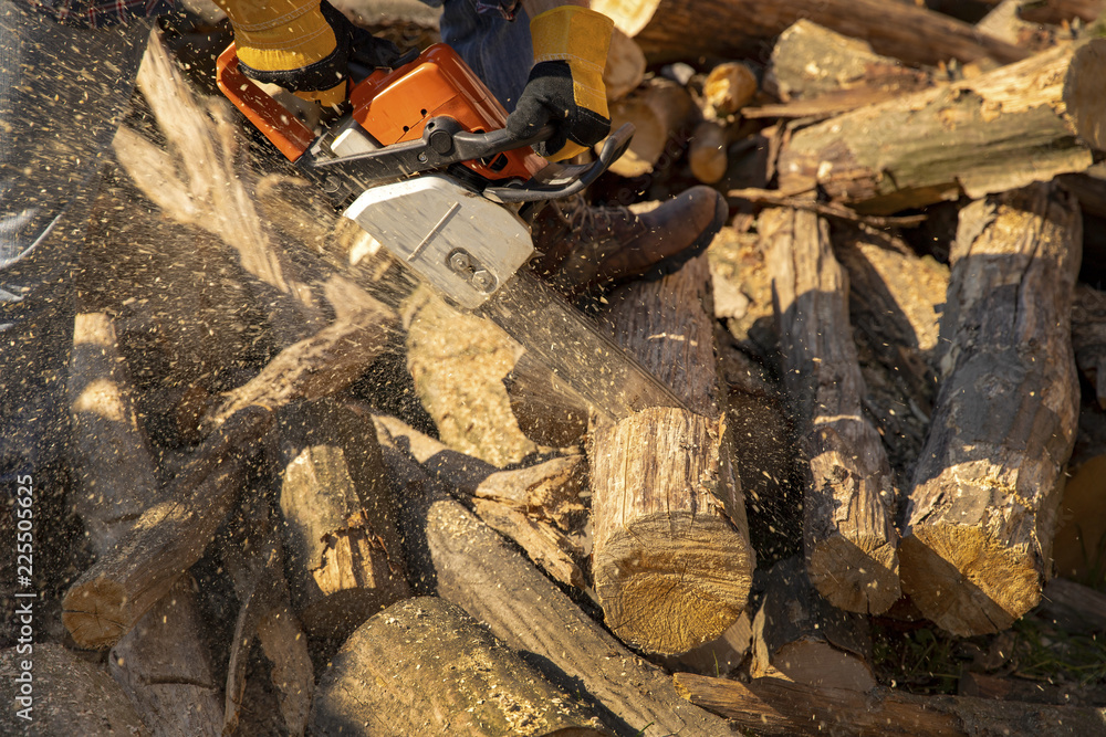 The worker works with a chainsaw. Chainsaw close up. Woodcutter saws ...