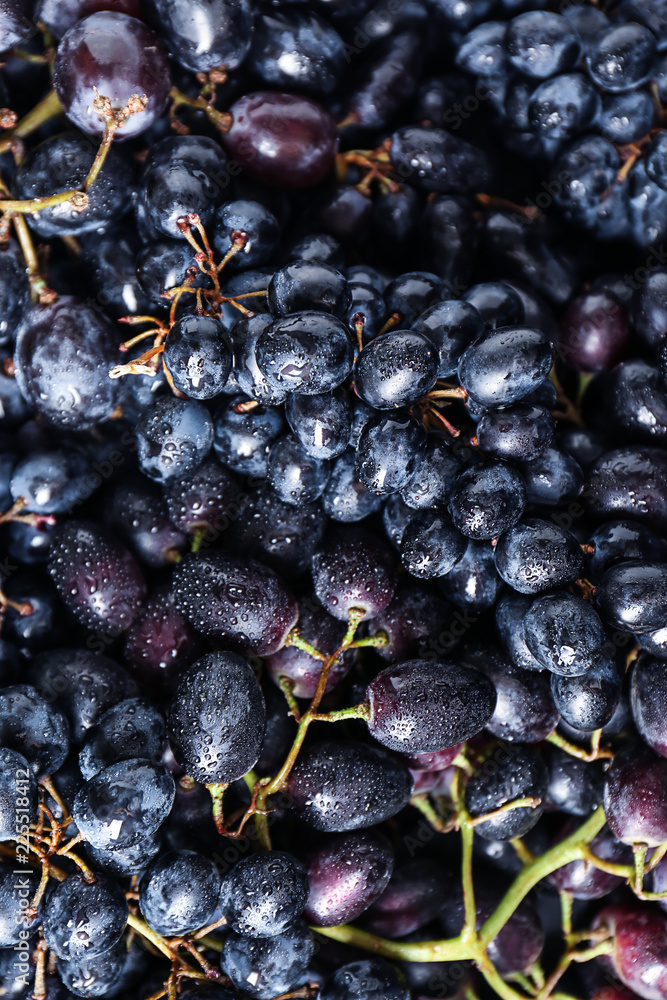 Fresh ripe sweet grapes