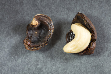 Sticker - The cashew is considered a nut, but in reality it is the seed of a perennial tree native to Brazil - Anacardium occidentale