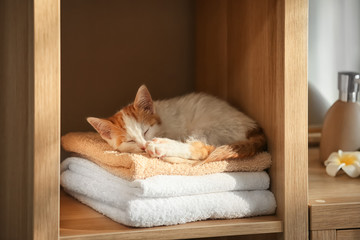 Cute little kitten sleeping on stack of towels