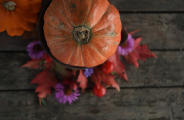 thanksgiving,lpreparations,autumn holidays,pumpkin,background,fall,happy,orange,gift,october,seasonal,red,food,yellow,holiday,leaves,harvest,decoration,berries,nature,wooden,wallpaper,leaf,vegetable,t