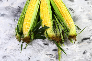 Wall Mural - boiled sweet corn. seasonal harvest crop local produce concept. flat lay. copy space