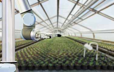Autocollant - The robot arm is working in a greenhouse. Smart farming and digital agriculture