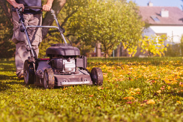 Mowing the grass with a lawn mower in garden at early autumn