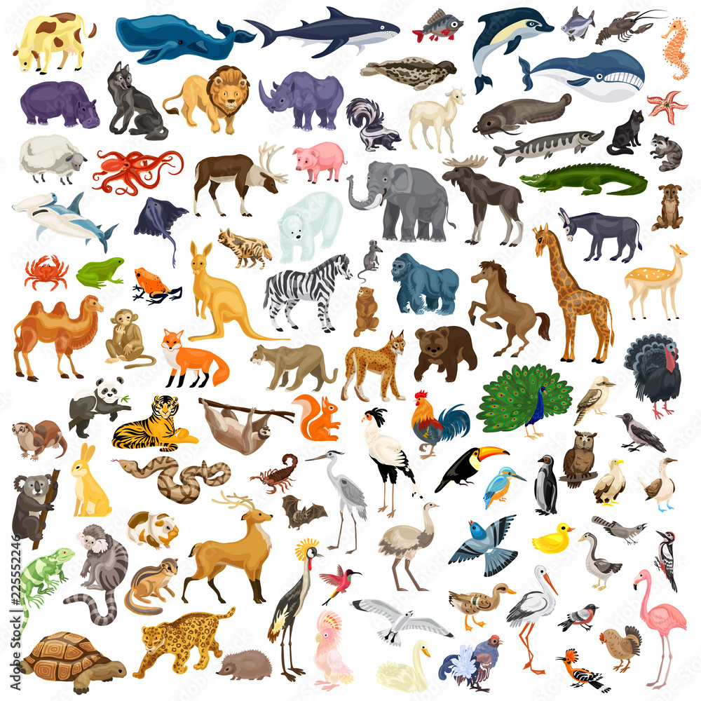 Animals icon set. Cartoon set of animals vector icons for web design - obrazy, fototapety, plakaty 