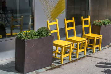 Three bright yellow upright wooden chairs stand in a row side by side on a sidewalk about side a building with a glass window and yellow sign. A tall narrow planter stands to the left of the chairs