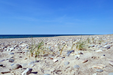 Wall Mural - Strand bei Vagså, Nordsee, Dänemark