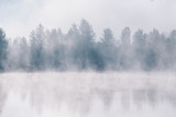 Fototapeta Las - Foggy river coast at the autumn morning.  Reflections of forest trees in the water.