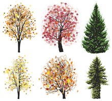 Vector Deciduous And Coniferous Autumn Trees Set.