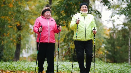 Wall Mural - Old women walking in an autumn park during a scandinavian walk