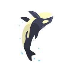 Wall Mural - Orca performing in public in dolphinarium or circus vector Illustration on a white background