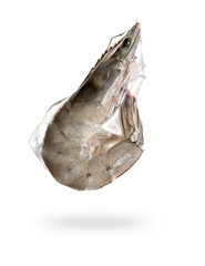 Wall Mural - Fresh Shrimp or Prawn in freezing process,isolated white background.