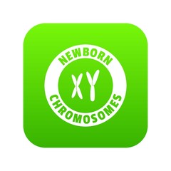 Poster - Newborn chromosomes icon green vector isolated on white background