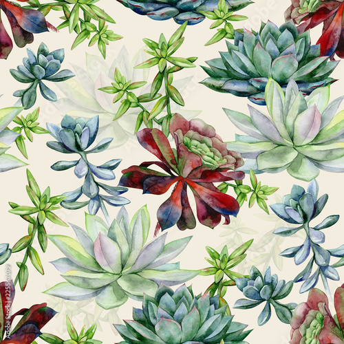 Watercolor succulents seamless pattern, echeveria illustration, botanical pai...