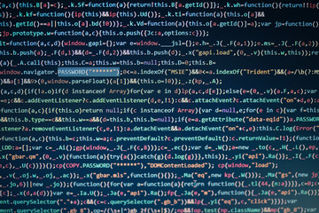 computer screen displaying program code, website development, application building, password and pri