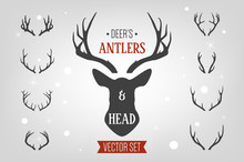 Black Silhouette Hand Drawn Deer S Horn, Antler And Head Set. Animal Antler Collection. Design Elements Of Deer. Wildlife Hunters, Hipster, Christmas And New Year Concept