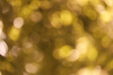 Beautiful golden bokeh light.