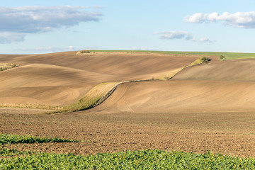 Fields where many crops are grown all year round in Moravian Tuscany during autumn. Beautifully captured two field colors and a blue sky filled with marbles.