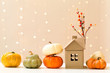 Collection of autumn pumpkins on a shiny light background