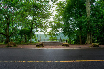 National Landmark, Springtime, Tropical Rainforest