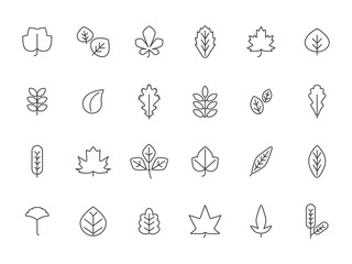 Wall Mural - linear autumn leaves. pictures of autumn. nature linear season floral, vector illustration