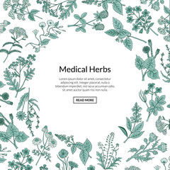 Canvas Print - Vector hand drawn medical herbs background with place for text illustration. Herb plant aromatic, botany aroma, healthy and freshness flora