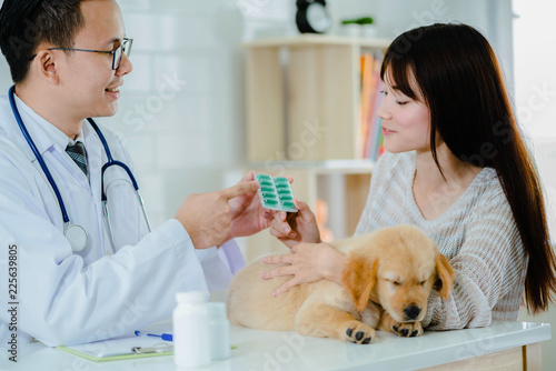 Obraz Dibond Veterinary give a medicine to a cute woman for the sick golden retriever puppy