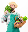 © be free - Hipster gardener wear apron carry vegetables. Man bearded presenting vegetables white background isolated. Farmer straw hat hold parsley and basket vegetables. Fresh organic vegetables wicker basket