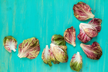 Wall Mural - Pile of homegrown organic young lettuce chicory with water drops on blue wooden table