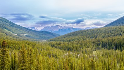 Wall Mural - View at the Canadian nature in Rocky Mountains - Banff,Alberta..