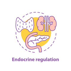 Wall Mural - endocrine regulation concept icon