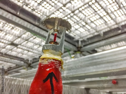 Fire Sprinkler System With Red Pipes Under Raised Floor