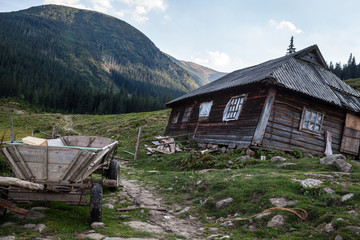 Wall Mural - Shepherds' house in the Ukrainian Carpathians