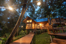 Architecture Wooden House In Rainforest