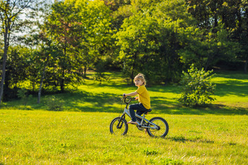 Wall Mural - Happy kid boy of 5 years having fun in the park with a bicycle on beautiful day