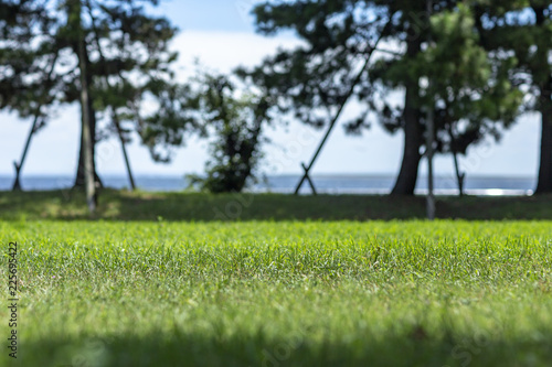 背景 花 芝生 自然 公園 市民 国民 旅行 観光 長野 緑 Stock 写真 Adobe Stock