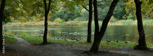 Autumn forest reflected in the water of the lake