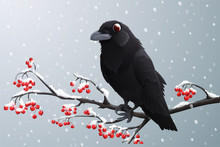 Black Raven Perched On Branch With Red Berries. Winter Season With Falling Snow. Vector Illustration Isolated On Grey Background.