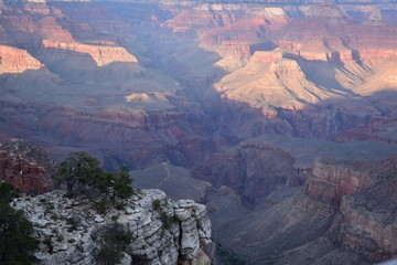 Grand Canyon Landscape