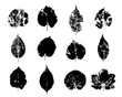 © maribom - Leaves imprints set isolated on white background vector