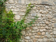 Mur de Provence