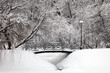 Snow-coverd twigs of trees over bridge and snowbound river with snowdrifts by river shores