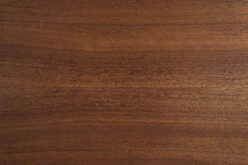 Wall Mural - Polished wood texture. The background of polished wood texture.