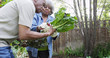 © Mark Adams - Mature black couple gardening together