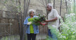 © Mark Adams - Mature African couple walking in garden with vegetables