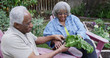 © Mark Adams - Old African couple examining vegetables in garden