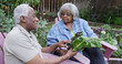 © Mark Adams - Elderly black couple talking about gardening