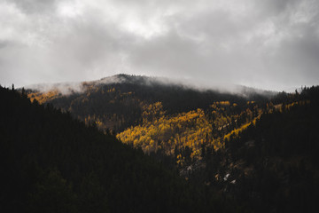 Wall Mural - Clouds hanging low over mountains covered in aspens during autumn. 