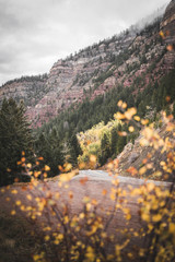 Wall Mural - A road running through the mountains during autumn. 